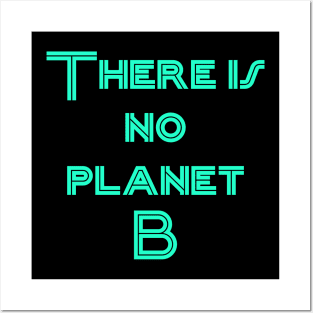 PLANET B 29 Posters and Art